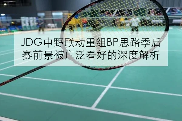 JDG中野联动重组BP思路季后赛前景被广泛看好的深度解析